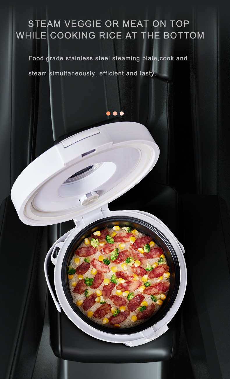 Cuiseur à riz 24V, chauffe-pla - Camping No Cooking Meals avis et prix