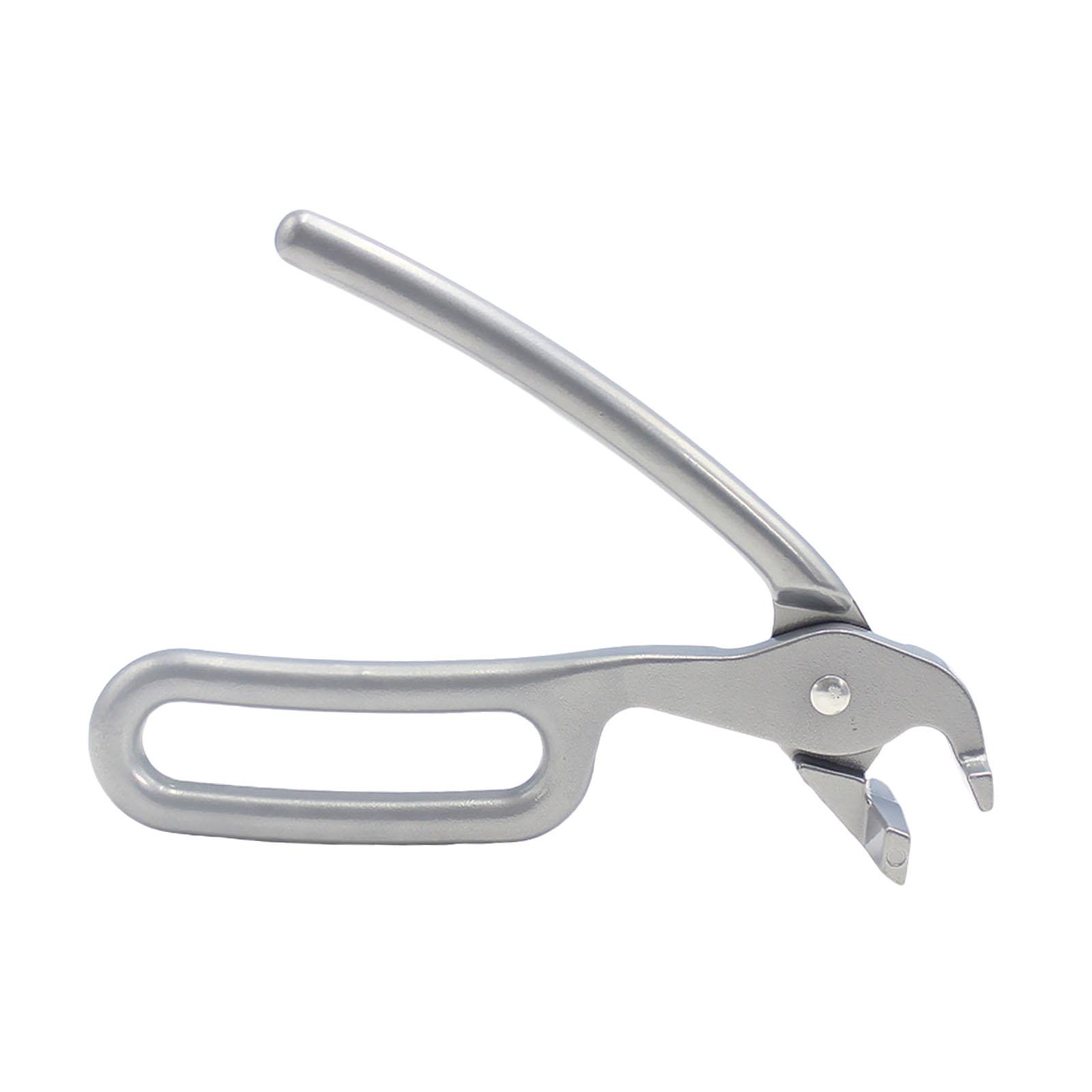 2xPince à pizza robuste pour p - Camping Cooking Hot Plate avis et prix